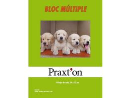 BLOC PAPEL MULTIPLE TRABAJOS MANUALES PRAXTON