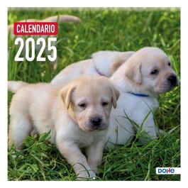 Calendario PARED 30x30 cm PERROS números pequeños. DOHE.