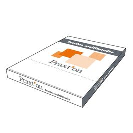 FUNDAS MULTITALADRO A4. CRISTAL. C.100 PRAXTON.