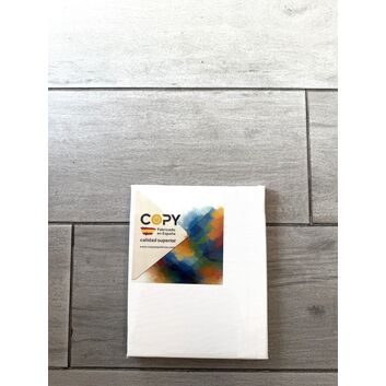 LIENZO 3F TAMAÑO 27X22. COPY.