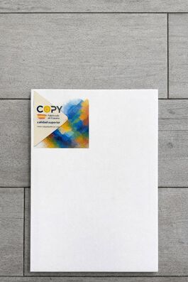 LIENZO 8F TAMAÑO 41X33. COPY.