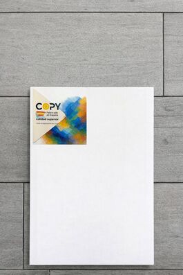 LIENZO 8P TAMAÑO 46X38. COPY.