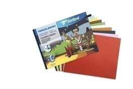 BLOCK CARTULINAS PRAXTON MANUAL. 10h. COLORES