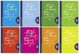 BLOCK LAMELA GRAPADO 50H CUARTO CUADROVIA 5MM