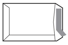 BOLSA 229X324 PACK 10 AUTOADHESIVO SAM